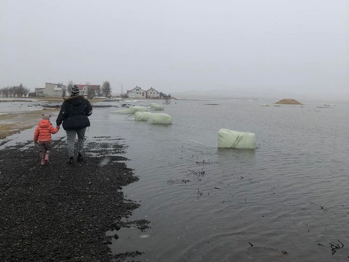 Frá Hvítárbakka í Borgarfirði í gærmorgun.