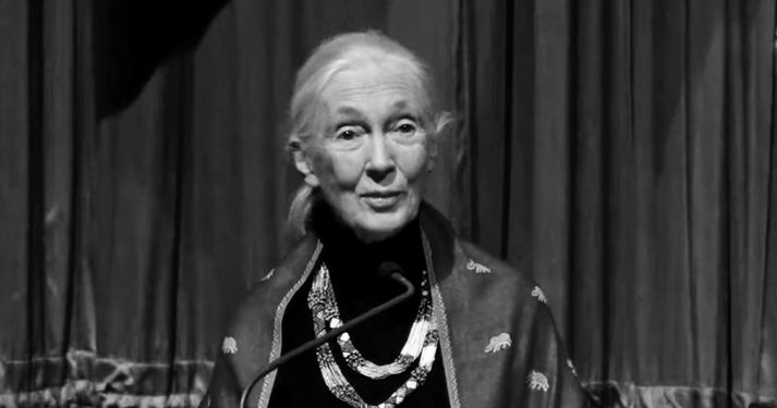 Jane Goodall