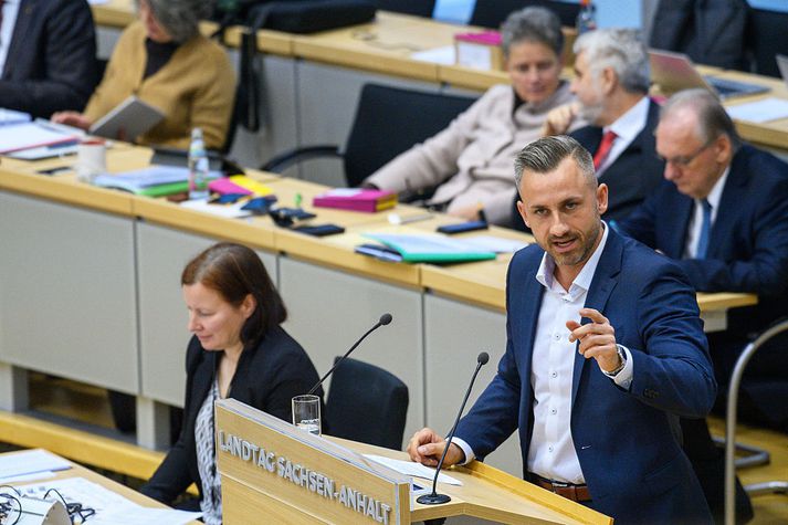 Faðir Ulrichs Siegmund, oddvita AfD í Saxlandi-Anhalt er sagður á launaskrá þingmanns flokksins á þjóðþinginu í Berlín. AfD eygir mögulega sinn fyrsta meirihluta í sambandslandslosningum síðar á þessu ári.