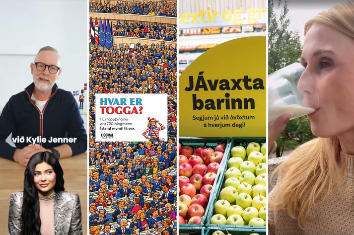 Brot af nokkrum kjánalegum augnablikum úr umræðunni um þjóðaratkvæðagreiðsluna síðustu vikurnar.