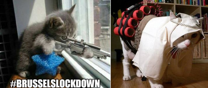 Sýnishorn af þeim myndum sem settar voru á Twitter undir myllumerkinu #Brusselslockdown