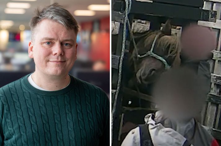 Andrés Ingi, framkvæmdastjóri DÍS, segir óásættanlegt að stjórnvöld bregðist ekki við og láti þetta viðgangast lengur. 