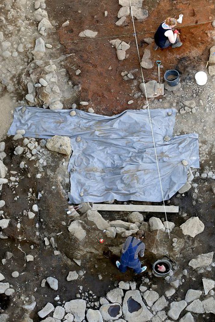 Uppgröftur hefur staðið síðan í maí.