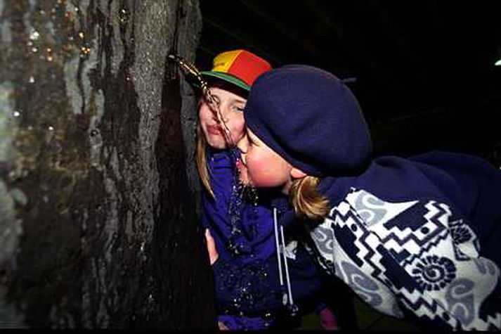 Krakkar fá sér sopa af vatni í Gvendarbrunnum. Dagur vatnsins árið 2003.