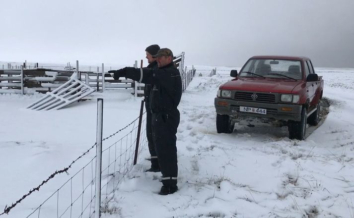 Sæþór Gunnsteinsson, gangnaforingi á Þeistareykjasvæðinu kíkti á aðstæður ásamt syni sínum eftir ofankomuna sem fylgdi lægðinni.