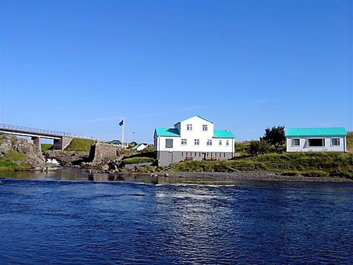 Helgarhollið fékk fimmtíu laxa.