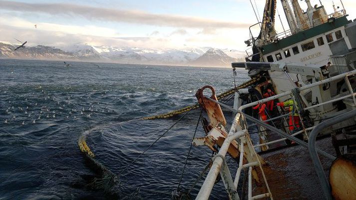 á loðnu Góð afkoma útgerðanna mun skila auknum tekjum í ríkissjóð en núverandi veiðigjald mun kosta grunnþjónustu eins og hafrannsóknir og fleira.fréttablaðið/óskar