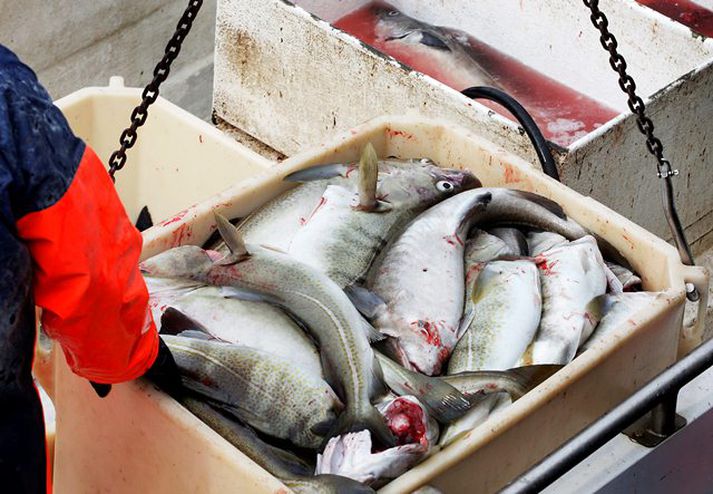 Aflinn nam alls 43.421 tonnum í maí 2011 samanborið við 73.550 tonn í maí 2010.