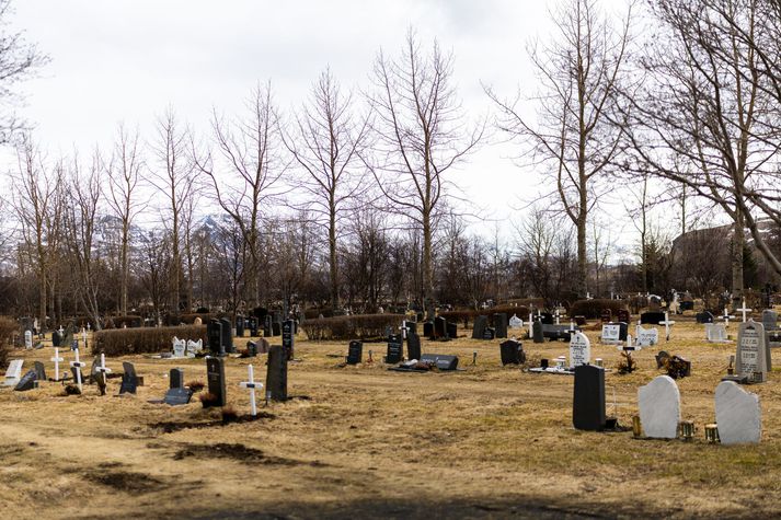 Skúrir og slydduél næstu daga. 