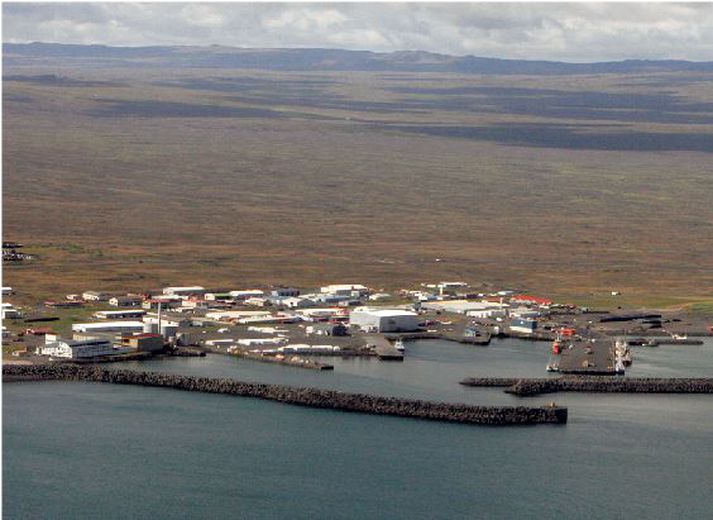 Þorlákshöfn Krakkarnir stukku út í sjóinn á þriðjudaginn var.