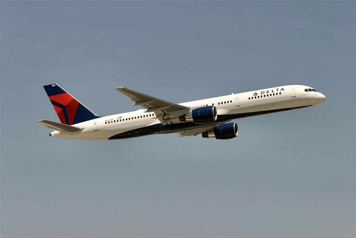 Delta Air Lines mun fljúga daglega milli Íslands og New York í sumar.