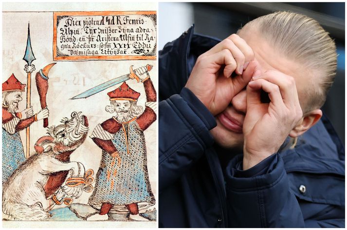 „Ég hef aldrei veið neinn lestrarhestur,“ segir Haaland. Um er að ræða sérstaka þýðingu af Heimskringlu frá 1594.