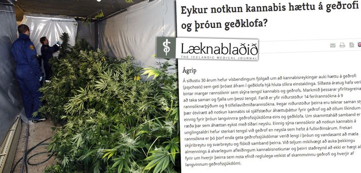 Vísbendingar séu um að tengsl séu á milli kannabisnotkunar og geðrofa að því er segir í fræðigrein sem birtist í Læknablaðinu í morgun.