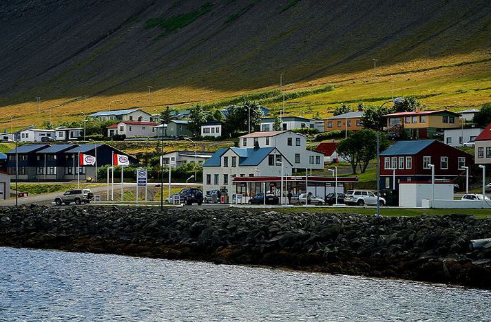 Frá Þingeyri Það hefur verið hart í ári hjá mörgum á Þingeyri síðustu misserin en hráefnaskortur lamar starfsemi stærsta atvinnuveitandans yfir sumarmánuðina.
mynd/róbert reynisson
