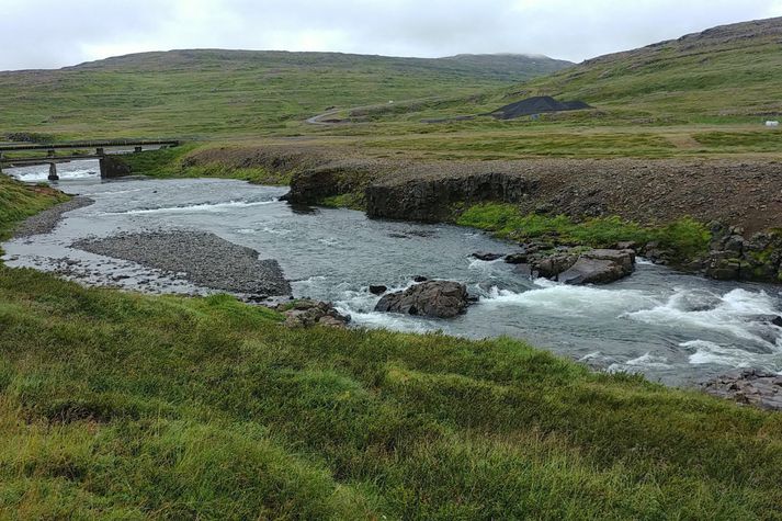 Jarðirnar eru allar í einu félagi og seljast sem slíkar. Félagið fer með meirihluta í veiðifélaginu á staðnum. Árið 2016 komu 311 laxar á land.