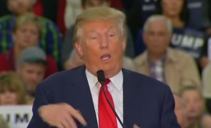 Donald Trump virtist gera grín að fötlun blaðamanns.