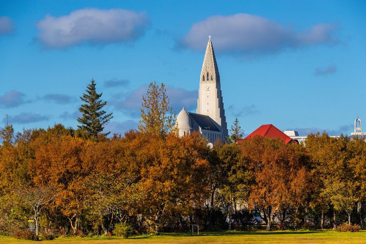 Búast má við hægum vindum og skúrum eða slydduél á víð og dreif.