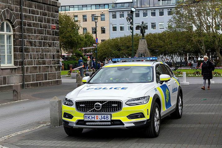 Talsvert var um þjófnað úr verslunum í dag