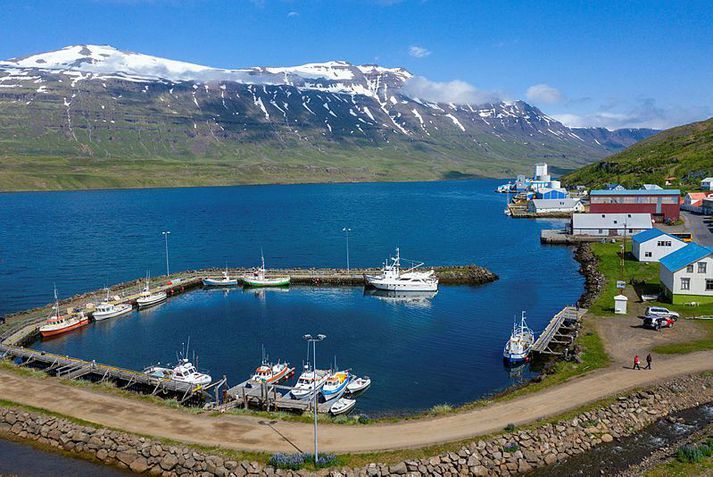 Von er á togara inn til Seyðisfjarðar í kvöld þar sem fimm skipverjar hafa fundið til einkenna sem svipar mjög til COVID-19.