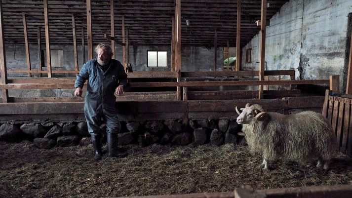 Hrútar fjalla um bræðurna Gumma, sem Sigurður Sigurjónsson leikur, og Kidda en þeir eru báðir sauðfjárbændur og búa hlið við hlið í afskekktum dal en talast ekki við.