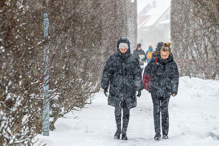 Það komast töluvert færri að en vilja í meistaranám í ritlist við Háskóla Íslands. Í fyrra komst aðeins þriðjungur umsækjenda og margir gera ítrekaðar tilraunir. Metfjöldi vongóðra nemenda sótti um í ár.