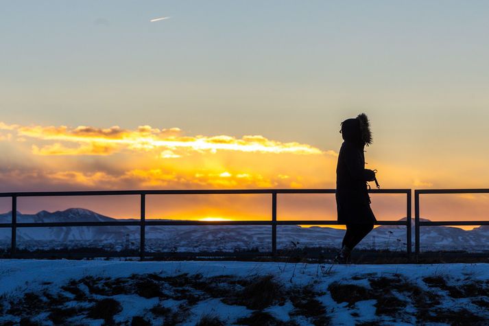 Skuggavera á vappi við Elliðavatn skömmu eftir sólarupprás á stysta degi ársins.