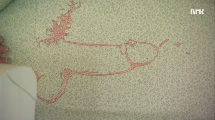 Silje hefur tekið upp á því að sauma út myndir af typpunum til að gagnrýna þessa venju karlmanna og varpa ljósi á vandamálið.