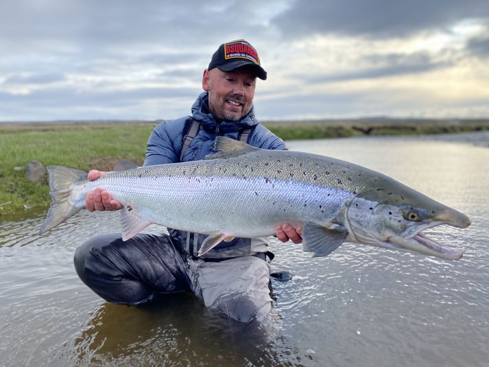 Glæsilegur lax sem veiddist við opnun Miðfjarðarár