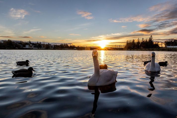 Nánast engin úrkoma er í spám fyrir suðvestur- og vesturland næstu daga.