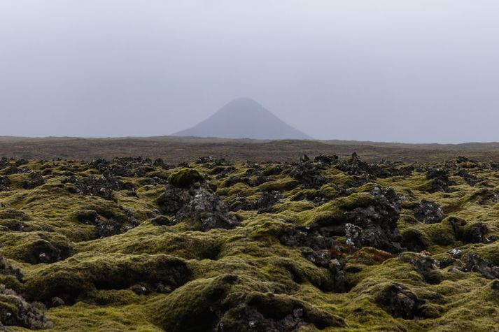 Hrinan er vegna nýs kvikuinnskots á svæðinu, nánar tiltekið á milli Fagradalsfjalls og Keilis og er miðja gangsins talin vera á milli Litla Hrúts og Litla Keilis