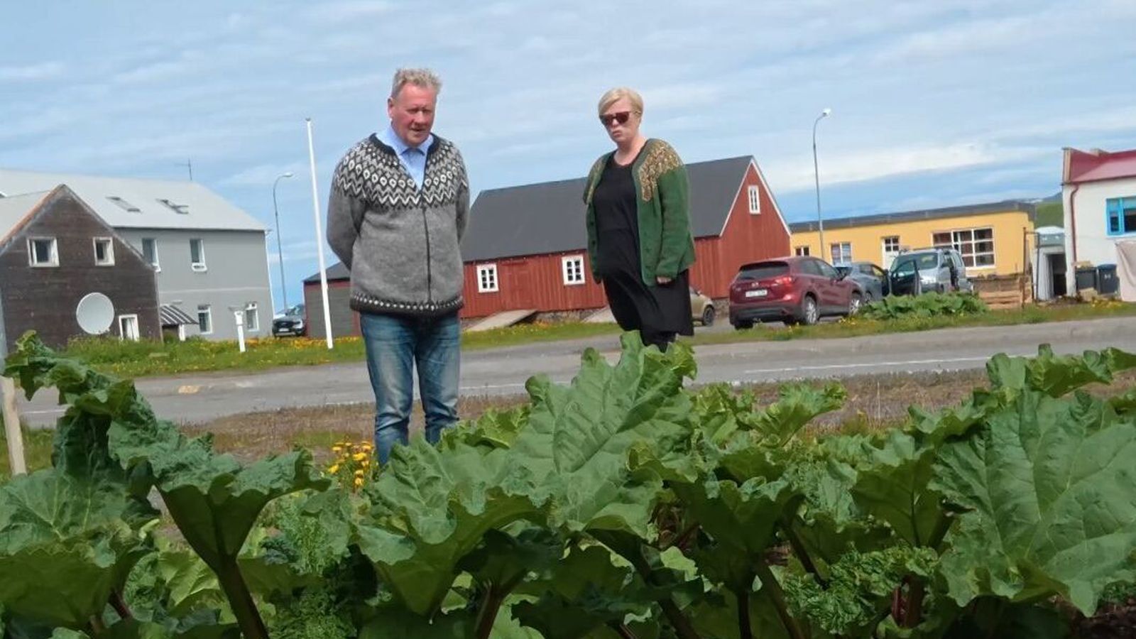 Rabarbari hafinn til vegs og virðingar á Blöndu­ósi