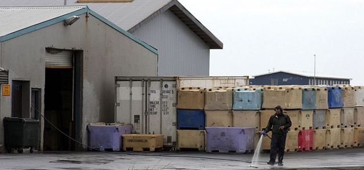 Deilt hefur verið um fiskþurrkun Lýsis í Þorlákshöfn um árabil.MYNd/GKS