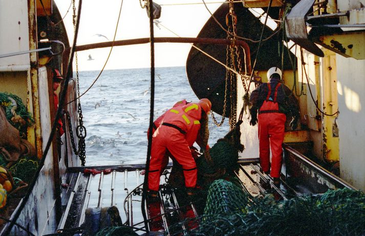 Sjávarútvegsráðherra hefur ákveðið að fara nákvæmlega eftir ráðgjöf Hafrannsóknastofnunar um kvóta á næsta fiskveiðiári, sem hefst fyrsta september og í athugun er að setja kvóta á úthafsrækju.