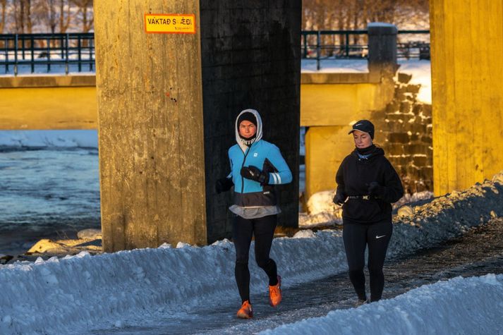 Hlauparar í Elliðaárdal í Reykjavík.