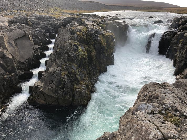 Laxastigi í Selá utan við Vopnafjörð.