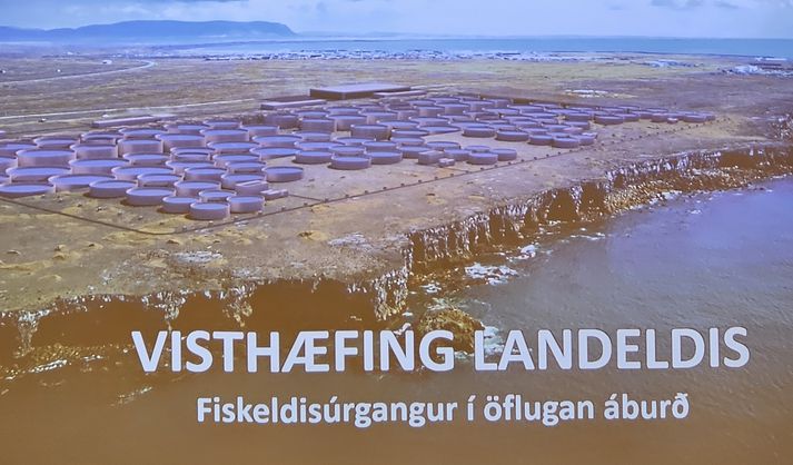 Budowa największej, lądowej akwakultury w Islandii będzie kosztowała około 70 mld koron.