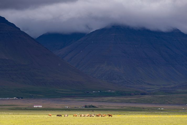 Frá Skagafirði en þar var ferðamaðurinn sem sektaður var í gær á ferð.