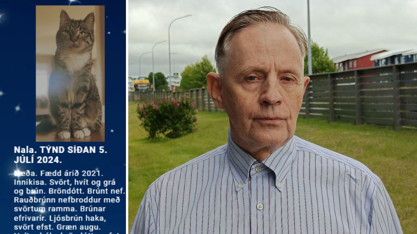 Nýtt app til að finna týndar kisur frum­sýnt í dag eftir sex ára þróunar­vinnu