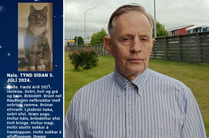 Guðmundur Þór Norðdahl hefur haldið úti Kattaskránni í rúm sex ár eða síðan árið 2019. Hann setti hana á fót í von um að sameina þá fjölmörgu vettvanga sem eru notaðir þegar kettir týnast.