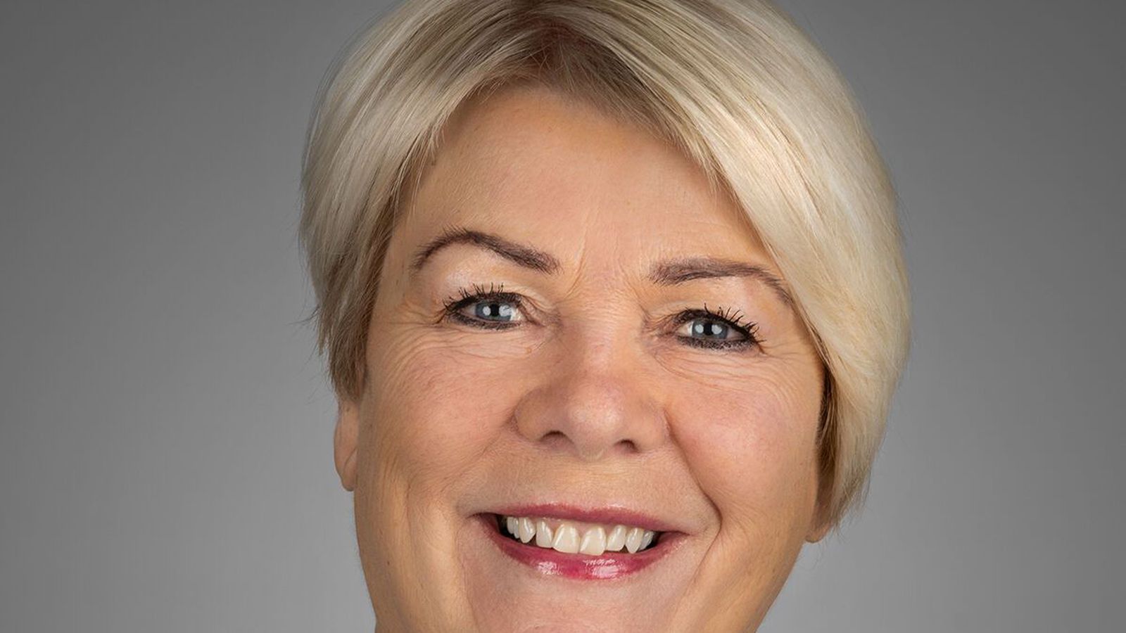 Vind­myllugarðar nei takk