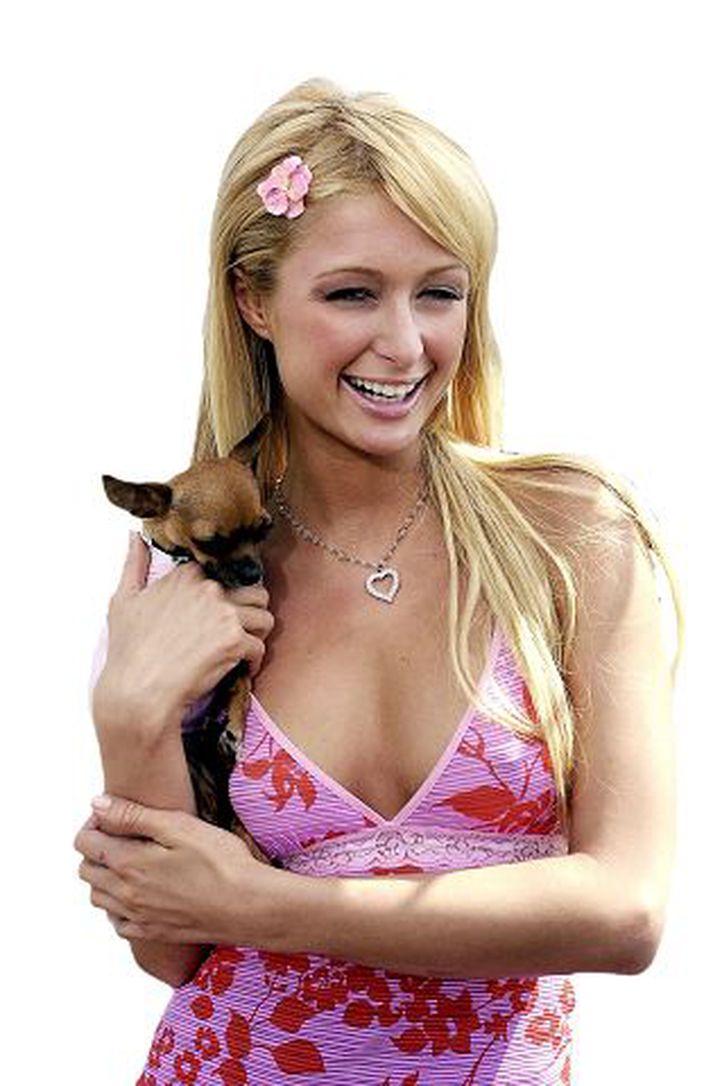 Paris Hilton lætur gott af sér leiða.