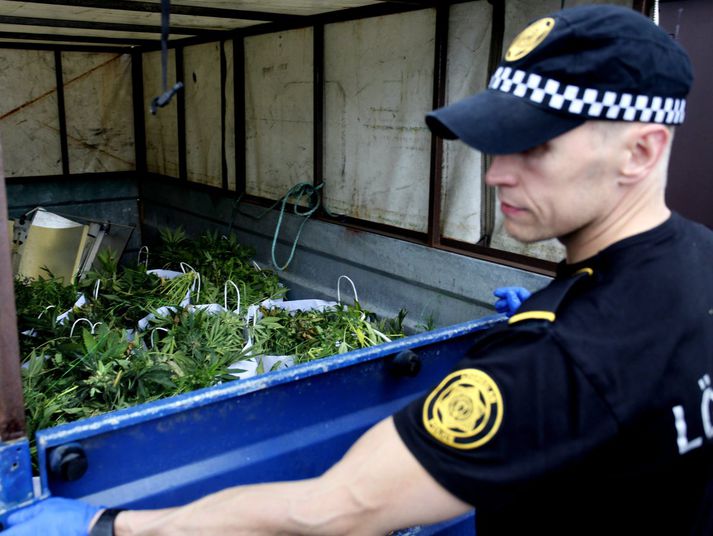 Yfir tíu kíló af marijúana voru gerð upptæk auk ýmiss konar búnaðar til ræktunar. 