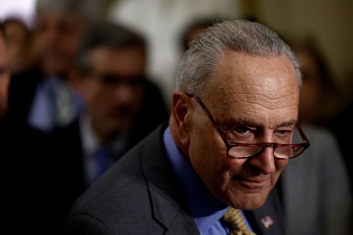 Schumer segir betra að semja lög og samþykkja jafn óðum, í stað þess að freista þess að smíða eina heildarlöggjöf.