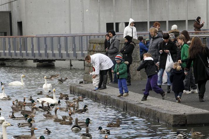 Mannréttindastjóri Reykjavíkur segist heyra á þeim hælisleitendum sem flutt hafa til borgarinnar að þeim þyki þeir falla betur inn í mannfjöldann í borginni. 