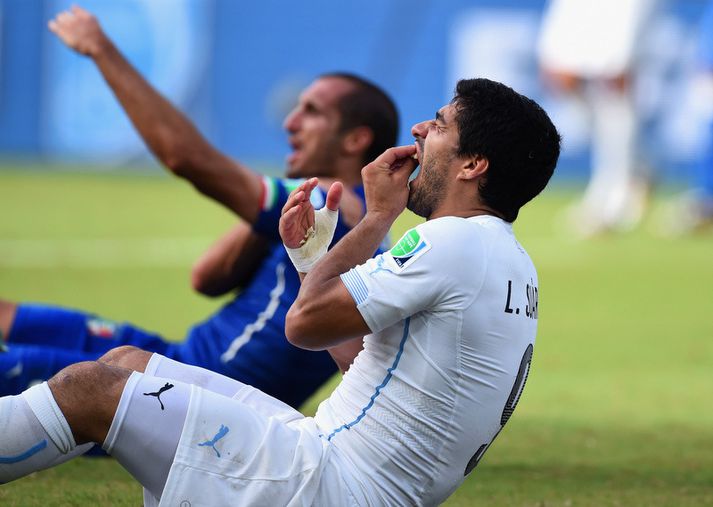 Luis Suarez kvartar undir verk í tönnunum eftir að hafa bitið Ítalann Giorgio Chiellini í öxlina.