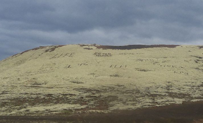 Mosakrotið er ekkert sérstaklega fallegt en Gunnar Arngrímur Birgisson tók þessa mynd á dögunum og vakti athygli á skemmdunum.