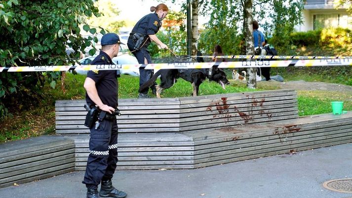 Lögreglan fékk fjölmargar ábendingar um stunguárásina á bekknum í Furuset.