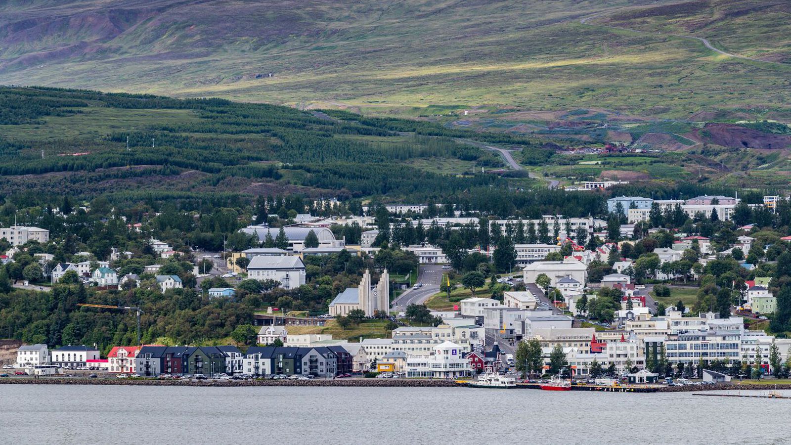 Fundu byssur í bílum og hand­tóku fimm