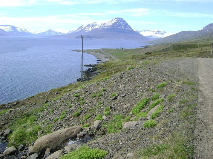 Helgustaðavegur út með Eskifirði milli Engjabakka og Högnastaða.