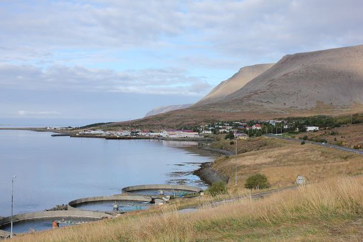 Eftir mögur ár er farið að færast líf í fasteignamarkaðinn fyrir vestan en þó eru ljón í veginum segir sveitarstjóri Tálknafjarðar.